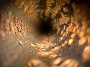 Heat exchangers, tube bundle inspections, pressure vessel inspections, tubular inspections, video scope, fiberscope, borescope, flexible probe, exchanger inspections, measuring corrosion, video inspection, cooler inspections, NDT, remote video inspection, Alberta, Canada, Oil Sands, Turnaround Support