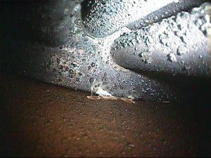 This image shows the inside of an exchanger tube after mechanical cleaning. Not all of the fouling has been removed by the process. The effective path of the mechanical cleaning is apparent by the "corkscrew" pattern down the tube. Maverick is often required to verify the effectiveness of cleaning procedures of tubes, piping, vessels, and other facility equipment