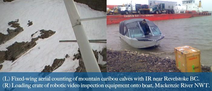 From Edmonton Alberta, Maverick Inspection works in all industries and around the world.